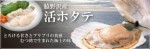 青森陸奥湾 脇野沢産 活ほたて 3kg 15〜21枚(貝ベラ・軍手・調理レシピ付き) | 日本全国各地のお取り寄せモール風土jp