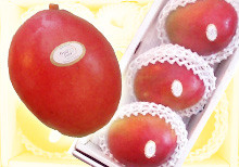 アップルマンゴー　3玉入