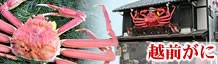 お取り寄せグルメ