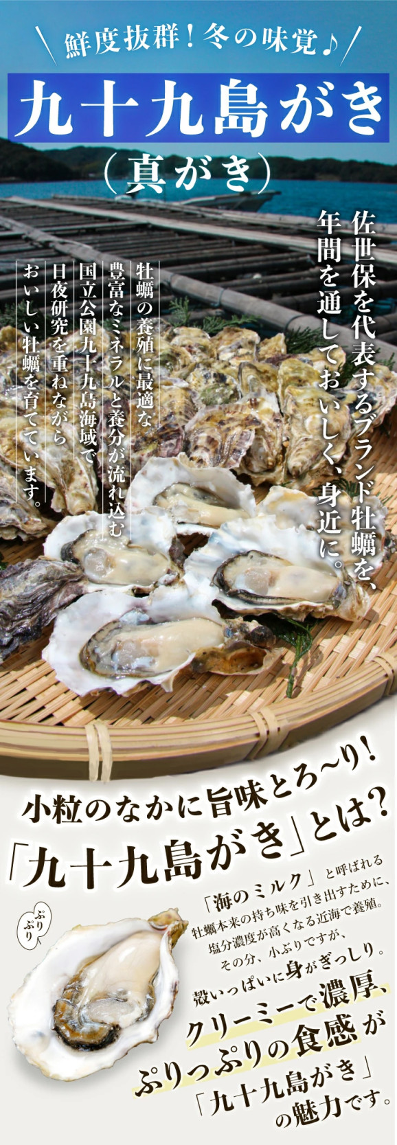 【送料無料】《九十九島産》冷凍 殻付き生牡蠣 真がき 12個/開け方ガイド付/マルモ水産 北海道・沖縄は別途送料850円 | 日本全国各地のお取り寄せモール風土jp