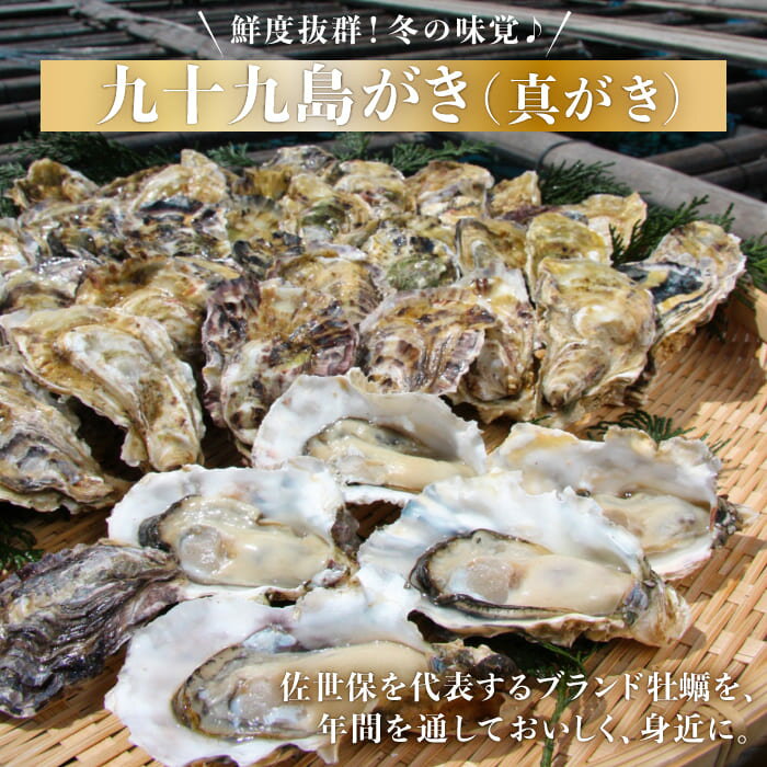 ̵ۡԶ彽绺 դ  12ġաޥ建 ̳ƻ850  | ϤΤ󤻥⡼jp