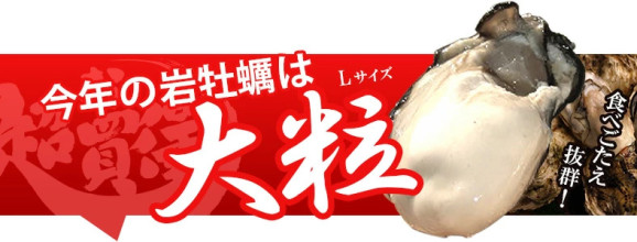 ̵γ 200250g դ䲴() 5kg Ĺ 彽绺 ľ ޥ建 [䤬/䥬/] | ϤΤ󤻥⡼jp