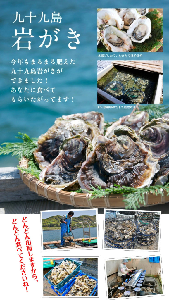 ̵γ 200250g դ䲴() 5kg Ĺ 彽绺 ľ ޥ建 [䤬/䥬/] | ϤΤ󤻥⡼jp