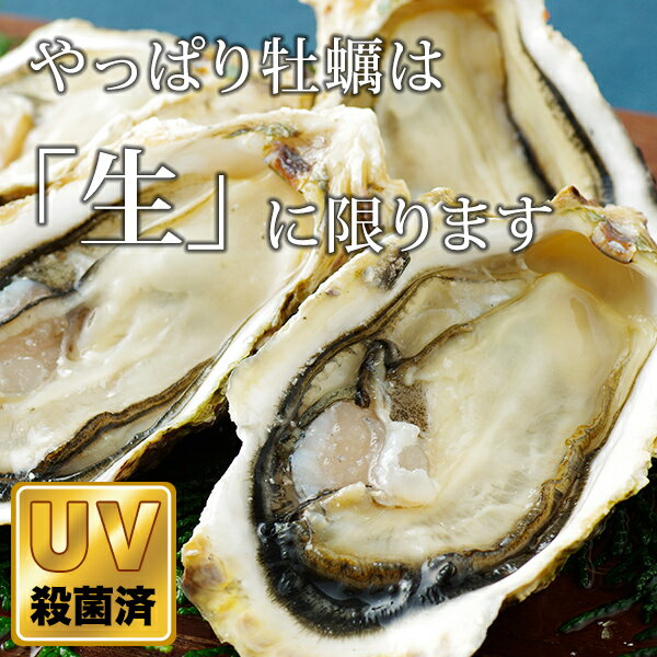 ̵γ 200250g դ䲴() 5kg Ĺ 彽绺 ľ ޥ建 [䤬/䥬/]  | ϤΤ󤻥⡼jp