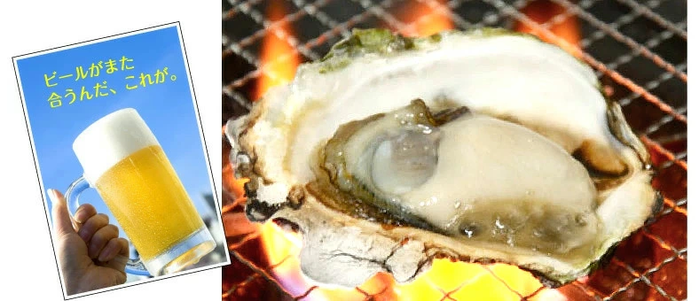 ̵γ 200250g դ䲴() 3kg Ĺ 彽绺 ľ ޥ建 [䤬/䥬/] | ϤΤ󤻥⡼jp