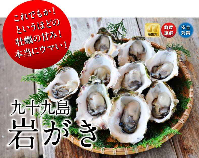 ̵γ 200250g դ䲴() 3kg Ĺ 彽绺 ľ ޥ建 [䤬/䥬/] | ϤΤ󤻥⡼jp
