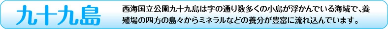 ̵γ 200250g դ䲴() 3kg Ĺ 彽绺 ľ ޥ建 [䤬/䥬/] | ϤΤ󤻥⡼jp