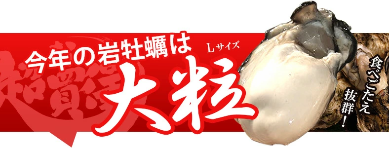 ̵γ 200250g դ䲴() 3kg Ĺ 彽绺 ľ ޥ建 [䤬/䥬/] | ϤΤ󤻥⡼jp