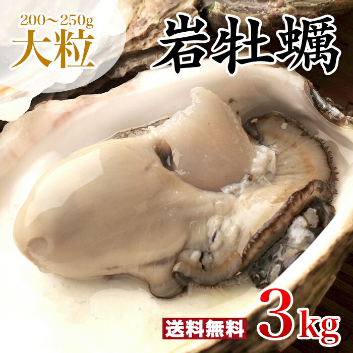 ̵γ 200250g դ䲴() 3kg Ĺ 彽绺 ľ ޥ建 [䤬/䥬/]