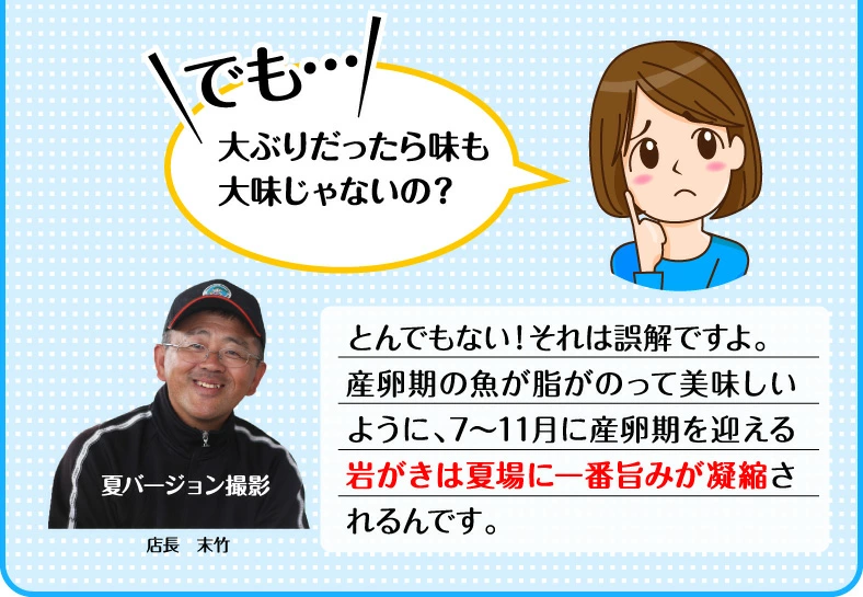 ̵۳դ䲴() 5kg ľ Ĺ 彽绺 ޥ建 [䤬/䥬/] | ϤΤ󤻥⡼jp