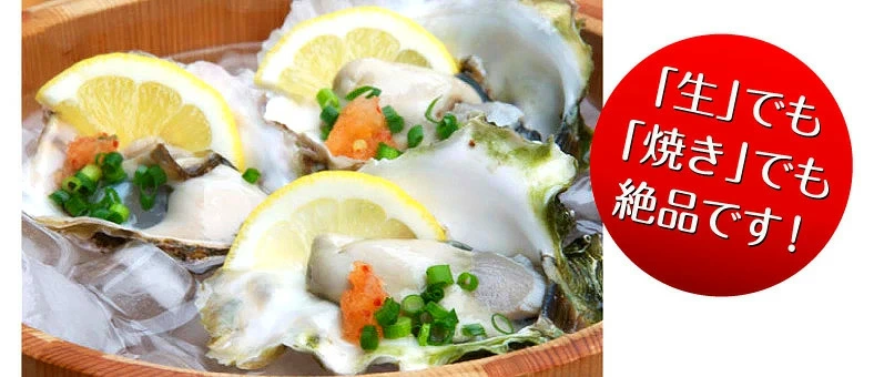 ̵۳դ䲴() 5kg ľ Ĺ 彽绺 ޥ建 [䤬/䥬/] | ϤΤ󤻥⡼jp
