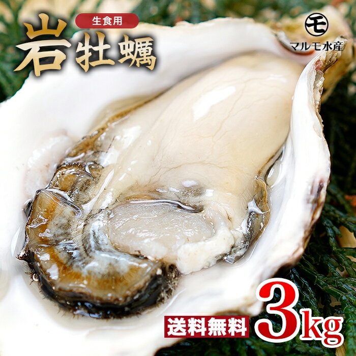 ̵۳դ䲴() 3kg  ľ Ĺ 彽绺  ޥ建 [䤬/䥬/]
