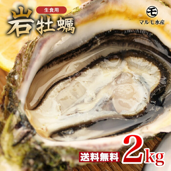 ̵۳դ䲴() 2kg ľ Ĺ 彽绺 ޥ建 [䤬/䥬/]