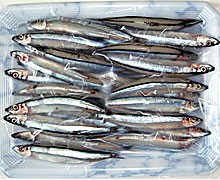 熊本土産に天草特産 刺身 作り方(食べ方レシピ)付き 牛深のきびなご(キビナゴ)セット | 日本全国各地のお取り寄せモール風土jp