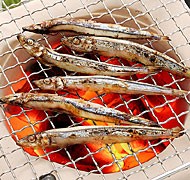 熊本土産に天草特産 刺身 作り方(食べ方レシピ)付き 牛深のきびなご(キビナゴ)セット | 日本全国各地のお取り寄せモール風土jp
