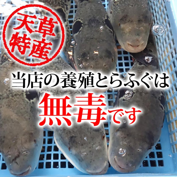 ̵�ǤȤ�դ��ƤҤ졡5g(Ȣ����) ���� | ����������ϤΤ����󤻥⡼������jp