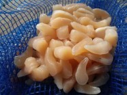 ڰɲ绺ۥ()γ 500g | ϤΤ󤻥⡼jp