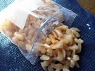 ڰɲ绺۵ꥢ()γ 500g | ϤΤ󤻥⡼jp