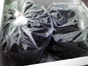 ڰɲ绺Ǵҥ 100 | ϤΤ󤻥⡼jp