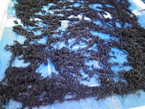 ڰɲ绺Ǵҥ 100 | ϤΤ󤻥⡼jp