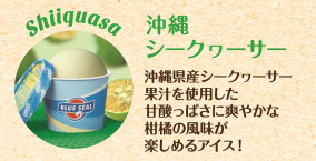 ブルーシールギフト12 | 日本全国各地のお取り寄せモール風土jp