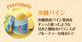 ブルーシールギフト12 | 日本全国各地のお取り寄せモール風土jp