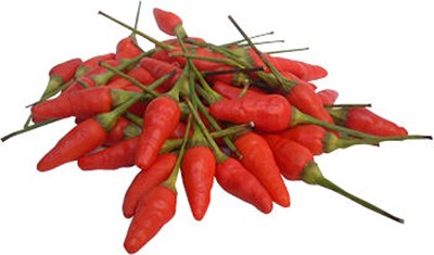 ���츩������Ȥ����餷150ml����볤��ʪ | ����������ϤΤ����󤻥⡼������jp