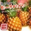 特価【送料無料】ピーチパイン西表島産