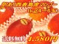 ¡ÚÌõ¤¢¤ê¡Û´°½Ï¥Þ¥ó¥´¡¼£±£ë£ç¡Ê4¡Á5¶Ì¡ËÀ¾É½Å绺