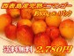 ¡Ú·ã°ÂÆÃ²Á¡ÛÀ¾É½Å绺¥ß¥Ë¥Þ¥ó¥´¡¼Ìó600£ç¡Ê¥Ñ¥Ã¥¯Æþ¤ê¡Ë