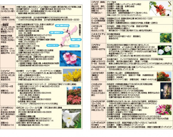 沖縄手帳社【2018年 沖縄手帳(黒)A5判】 | 日本全国各地のお取り寄せモール風土jp