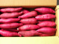 鳴門金時さつまいも【進物用】 5kg