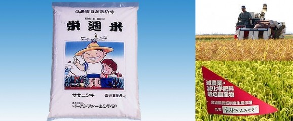 【宮城産栄週米】ササニシキ玄米5kg 画像 | 日本全国各地の名産品やお土産のお取り寄せモール 風土jp