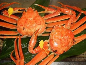 ��ʡ�温����۱������ˡھ��� | ����������ϤΤ����󤻥⡼������jp