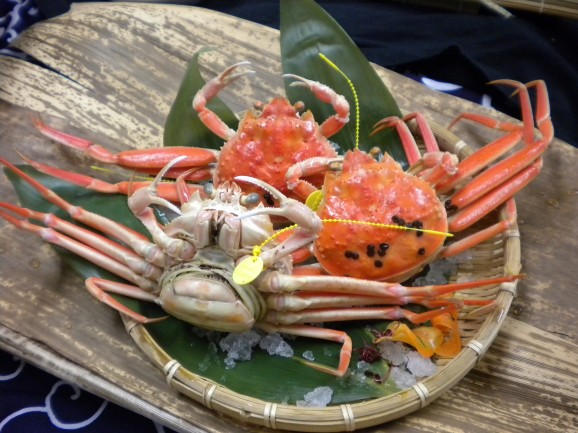 【福井県三国】セイコガニ（越前がにのメス）販売期間11/6〜12/25まで