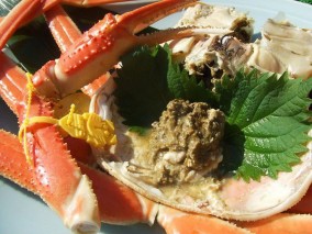 �櫓���ꥬ�ˡھ��� | ����������ϤΤ����󤻥⡼������jp