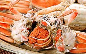 �櫓���ꥬ�ˡھ��� | ����������ϤΤ����󤻥⡼������jp