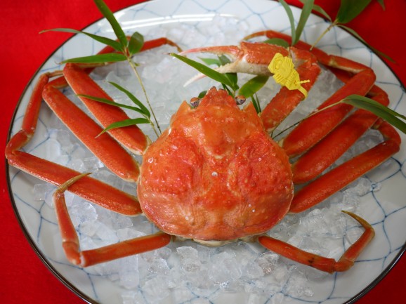 �櫓���ꥬ�ˡھ��� ���� | ����������ϤΤ����󤻥⡼������jp