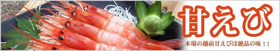 越前甘えび【大えび】 500g | 日本全国各地のお取り寄せモール風土jp