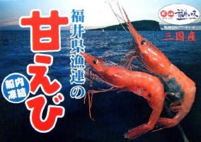 越前甘えび【大えび】 500g | 日本全国各地のお取り寄せモール風土jp