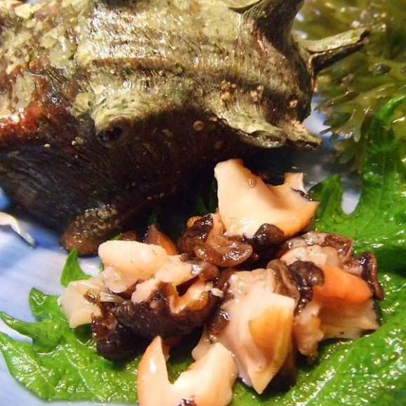 褵ʤɿȡĤܾƤ 1kg | ϤΤ󤻥⡼jp