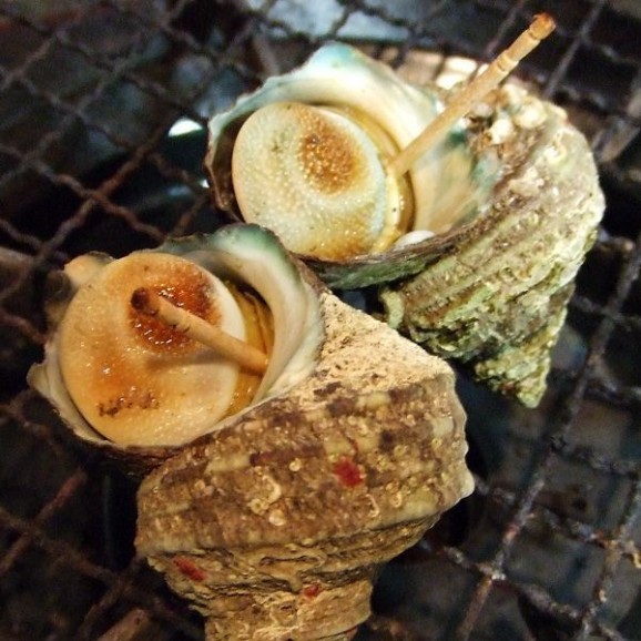 褵ʤɿȡĤܾƤ 1kg | ϤΤ󤻥⡼jp