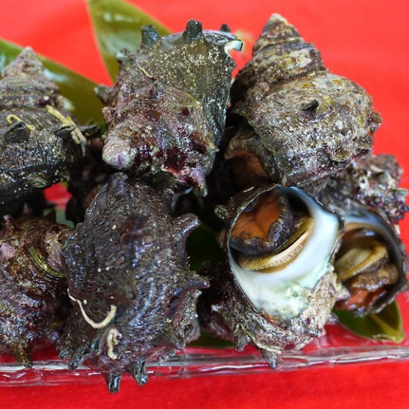 褵ʤɿȡĤܾƤ 1kg | ϤΤ󤻥⡼jp