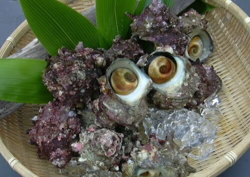 日本全国各地の名産品やお土産のお取り寄せモール 風土jp