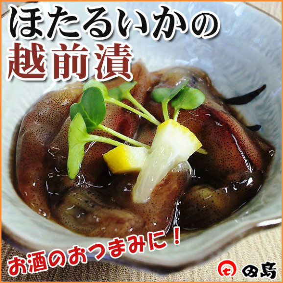 ۤ뤤αҡڤδťӡʡ温 ˾̣åȡ2åȡ  | ϤΤ󤻥⡼jp