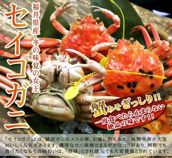 せいこ蟹(小)3杯セット 福井県産せいこ蟹(セイコガニ・セコガニ) | 日本全国各地の名産品やお土産のお取り寄せモール 風土jp