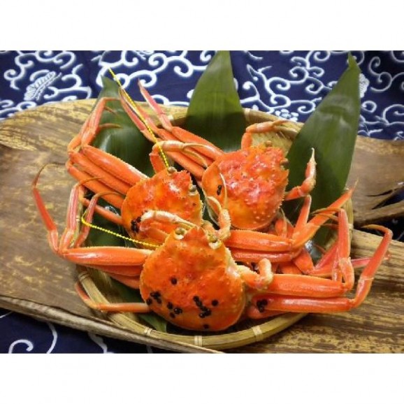 ���������ʾ���3�ե��å� ʡ�温�����������ʥ��������ˡ��������ˡ� ���� | ����������ϤΤ����󤻥⡼������jp