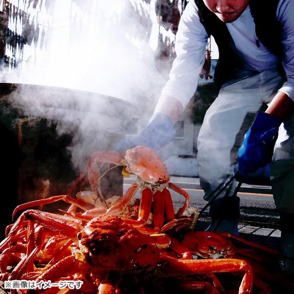 ���������ʾ���3�ե��å� ʡ�温�����������ʥ��������ˡ��������ˡ� ���� | ����������ϤΤ����󤻥⡼������jp