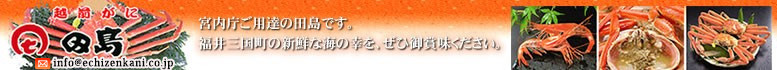 風土jp 越前がに 田島