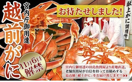 【福井県三国】越前がに